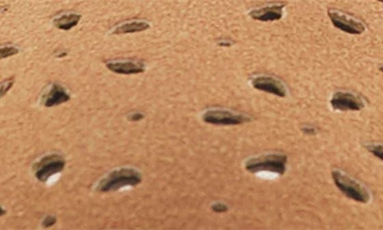 Carter
s Kids
 Eason Mary Jane 9