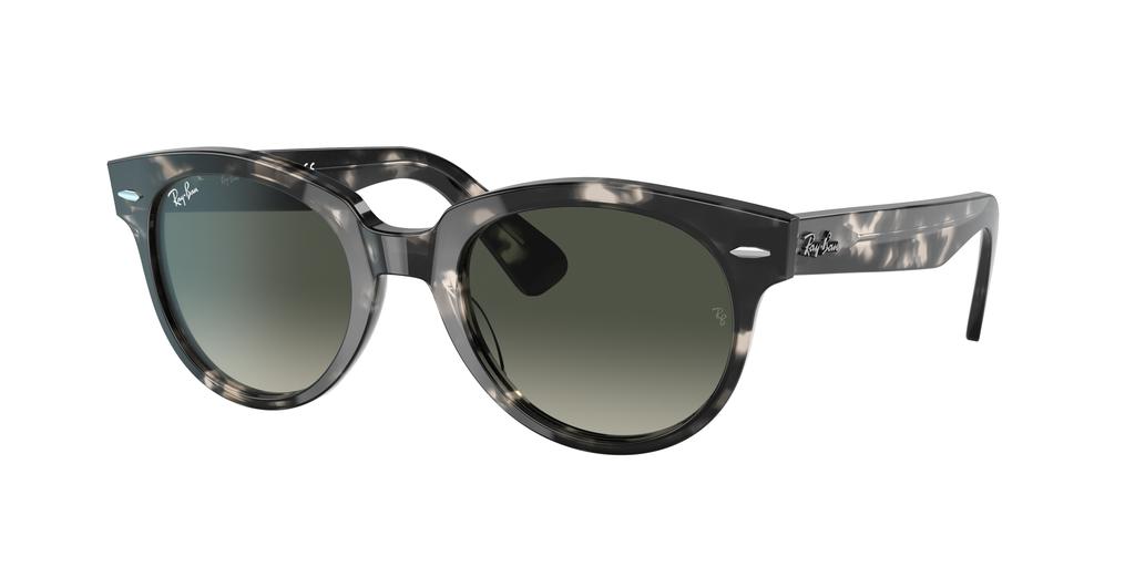 Ray-Ban Ray-Ban Unisex Sunglass RB2199 Orion
