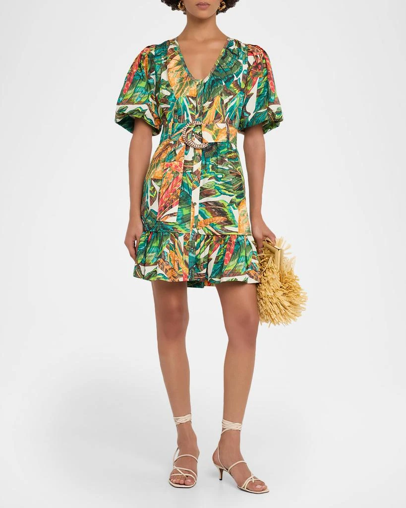 Marie Oliver Women's Gwyneth Dress - Multi - Size 6 - Paradise