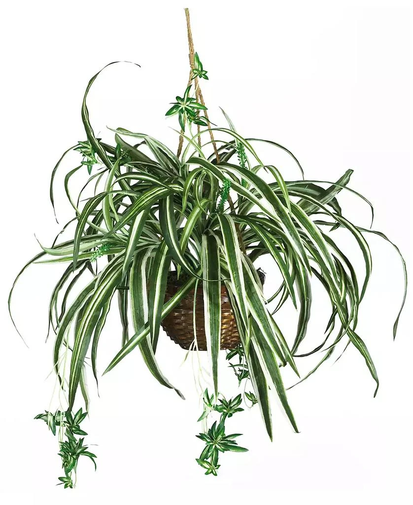 NEARLY NATURAL Spider Artificial Plant Hanging Basket 1