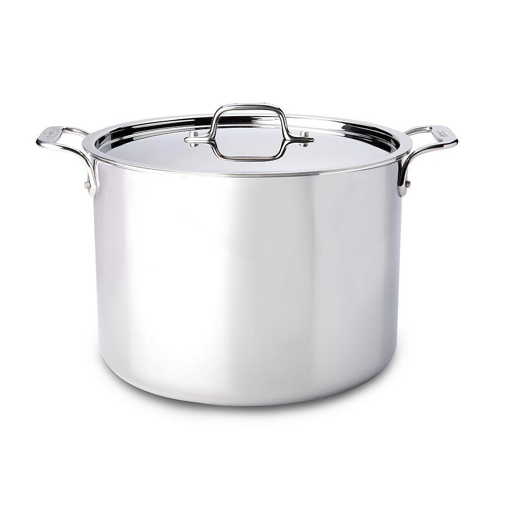 All-Clad Stainless Steel 12-Quart Stock Pot with Lid 1