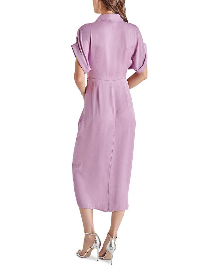 Steve Madden Tori Dress 2