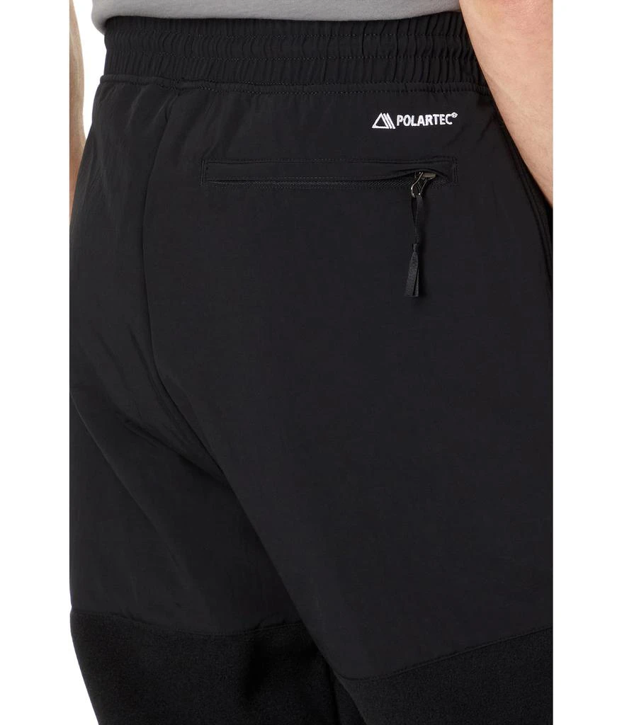 The North Face Denali Pants 3