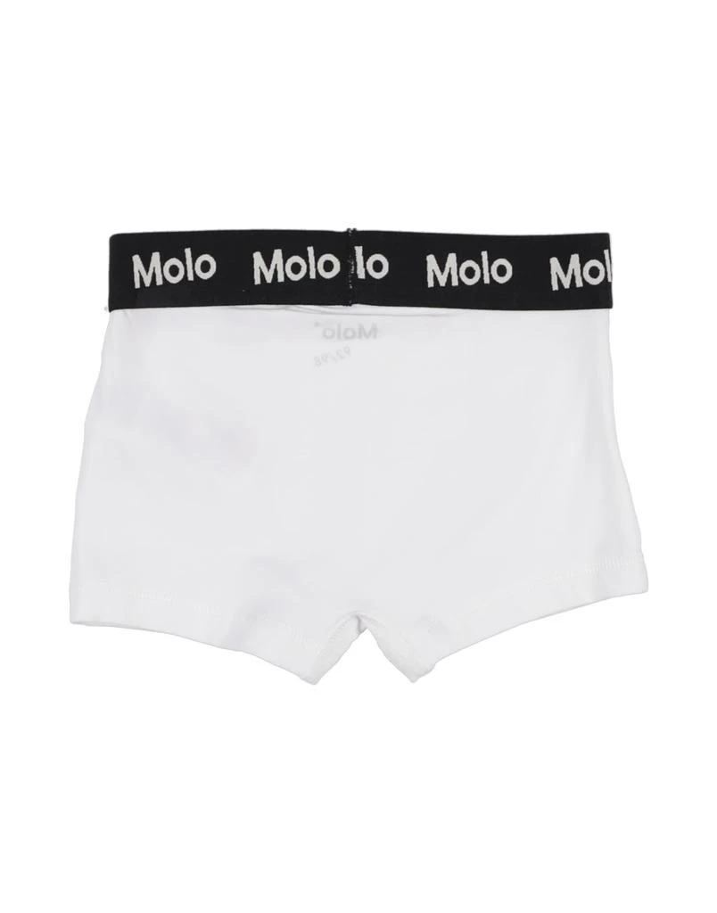 MOLO Boxer 2