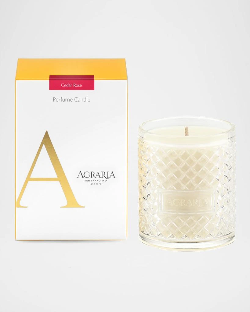 Agraria 7 oz. Cedar Rose Perfume Candle 1