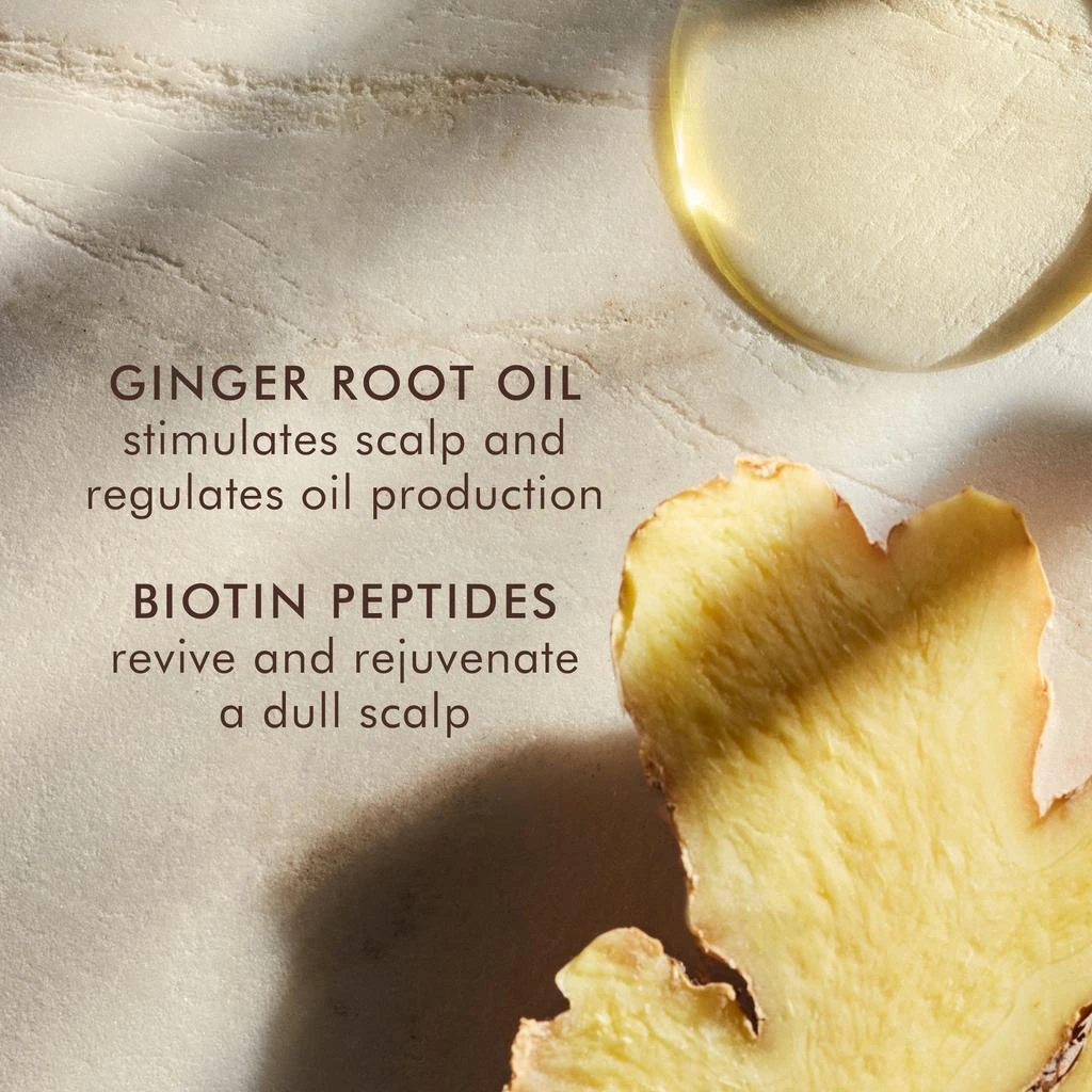 Moroccanoil Moroccanoil Oily Scalp Treatment 1.5 oz 5