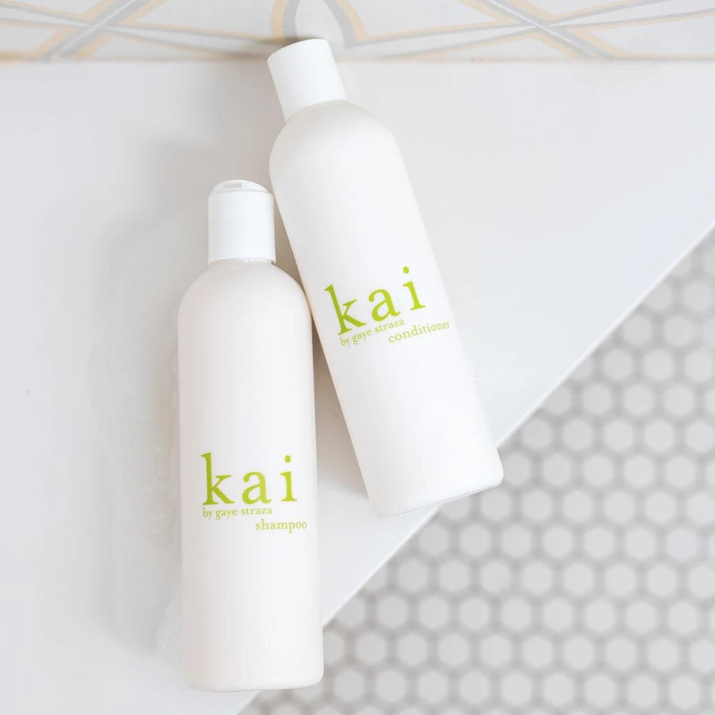kai kai Conditioner 5