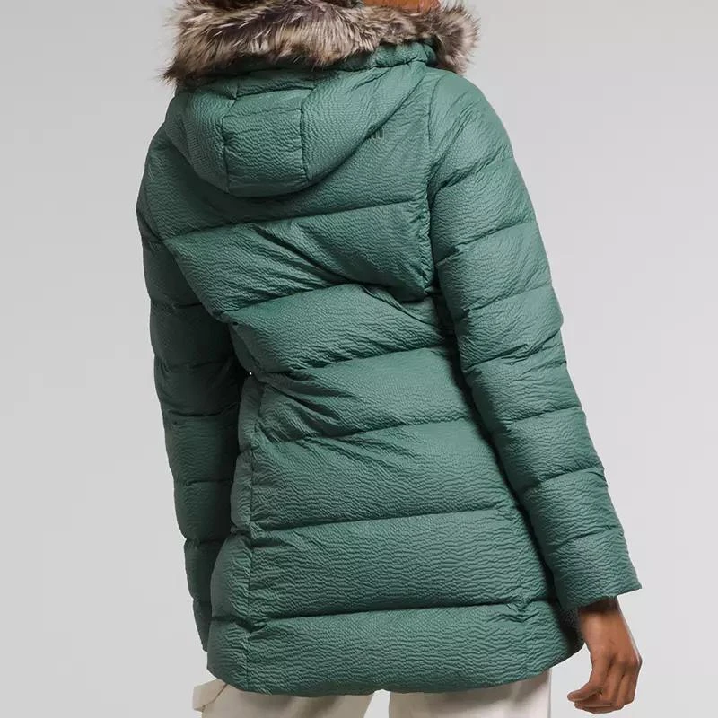 The North Face The North Face Women's Dreamer Parkina 2