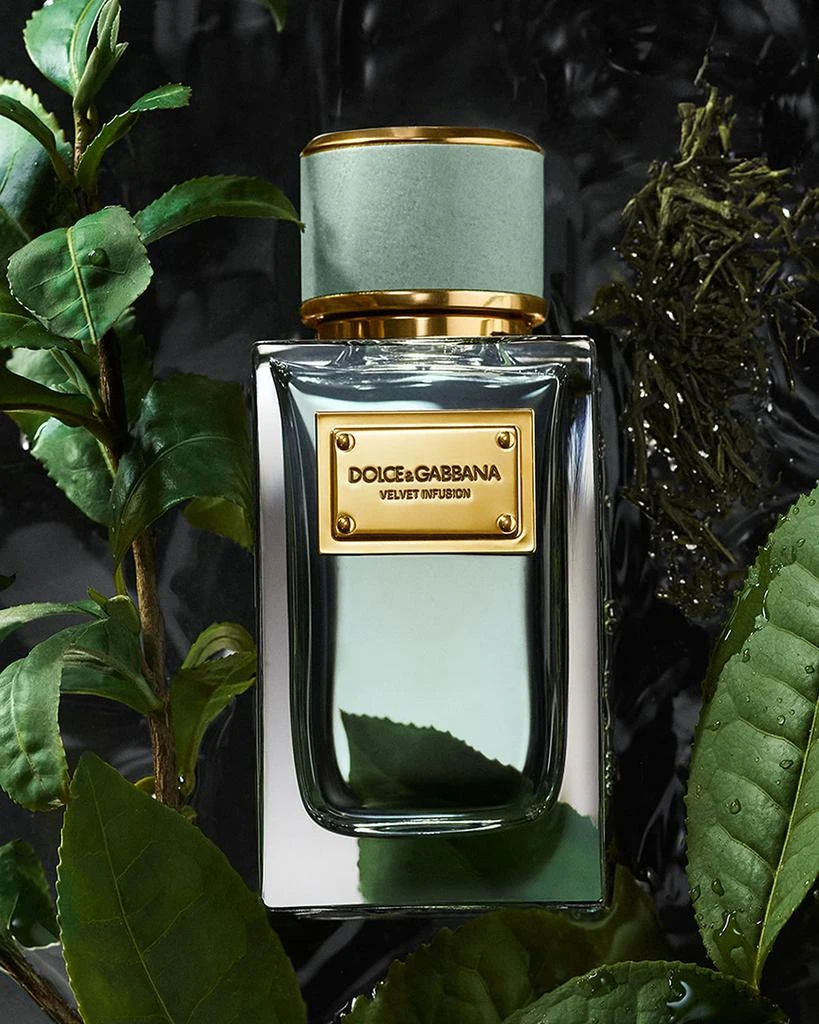 Dolce & Gabbana Velvet Infusion Eau de Parfum, 3.3 oz. 2