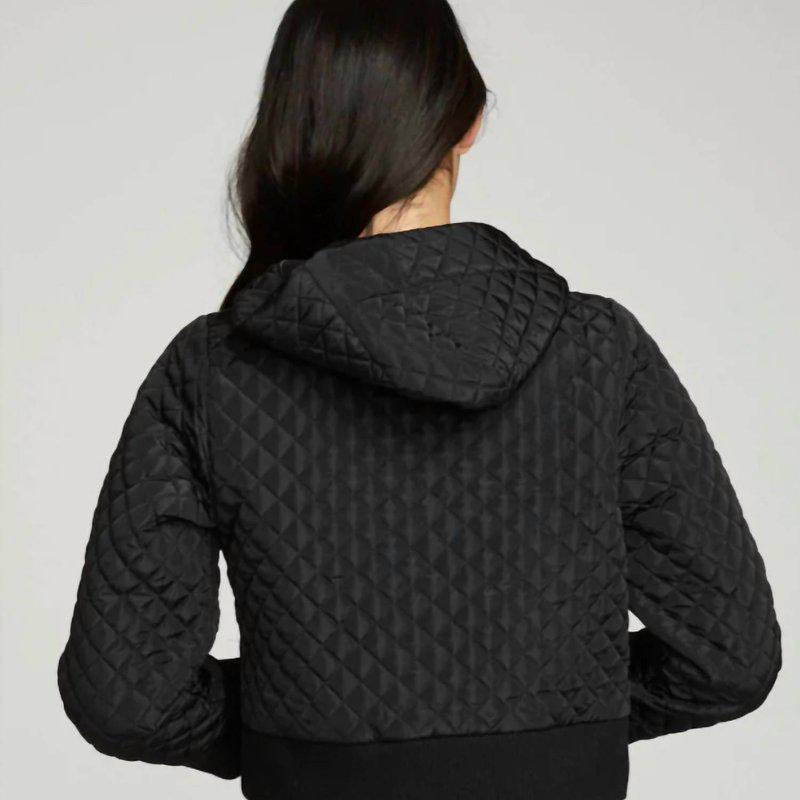 Chaser Cropped Hooded Jacket With Rib