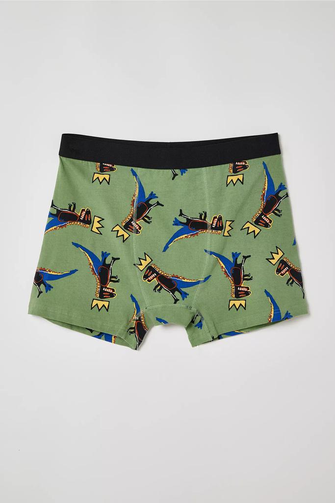 Urban Outfitters Basquiat Tossed Dino Boxer Brief