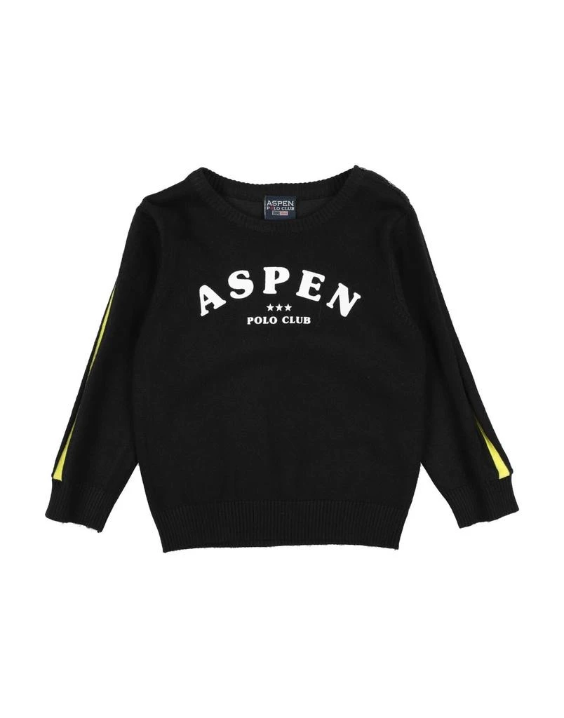 ASPEN POLO CLUB Sweater