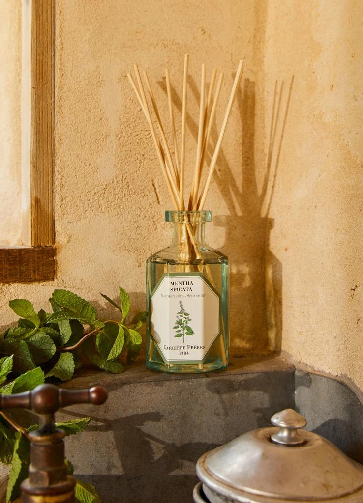 Carriere Freres Fragrance diffuser Spearmint - Mentha Spicata 200 ml 3