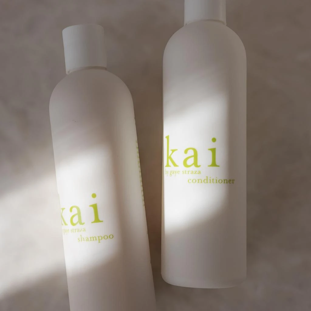 kai kai Conditioner 2