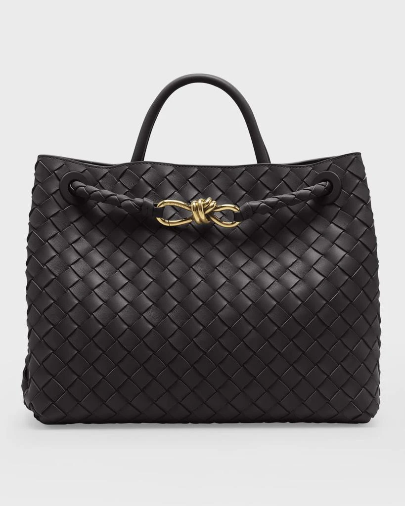 Bottega Veneta Medium Andiamo Bag 1