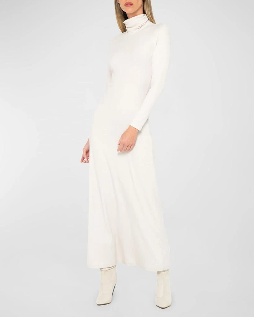 JBQ Miranda Turtleneck Maxi Dress 1