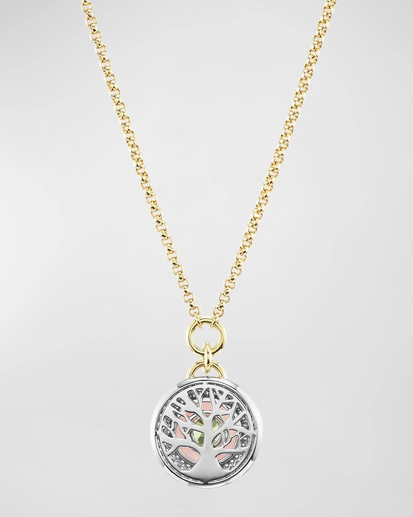 Emily P. Wheeler Earth Medallion 18K White and Black Gold Necklace with Peridot, Amethyst and Pink Opal 3