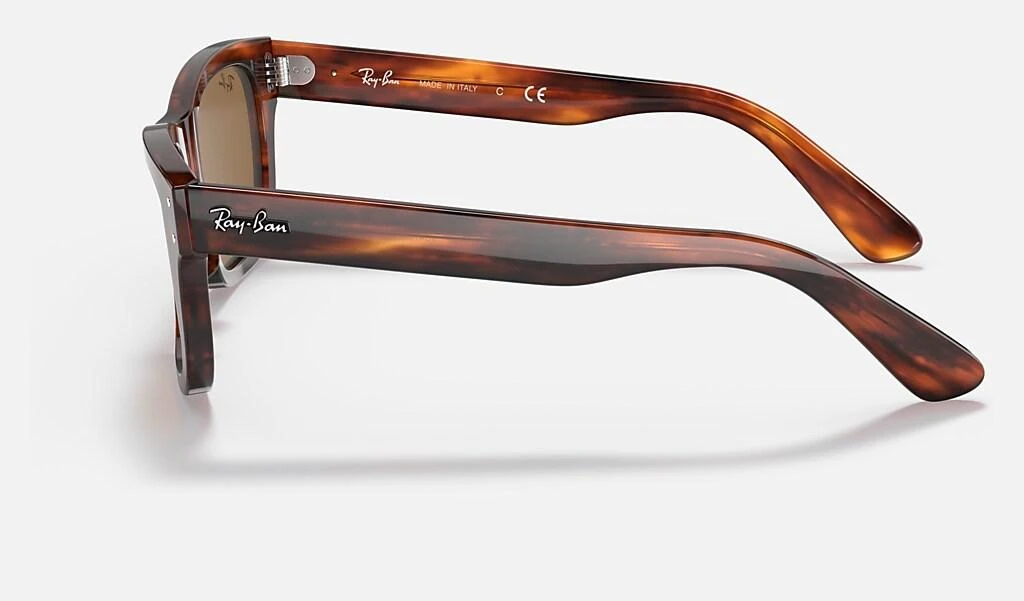 Ray-Ban BURBANK 3