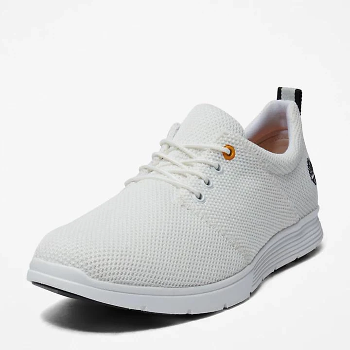 Timberland Killington Oxford Shoe for Men in White 9