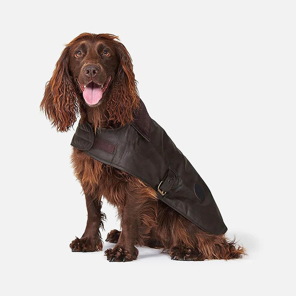 Barbour Barbour Matt Wax Dog Coat - Olive 1
