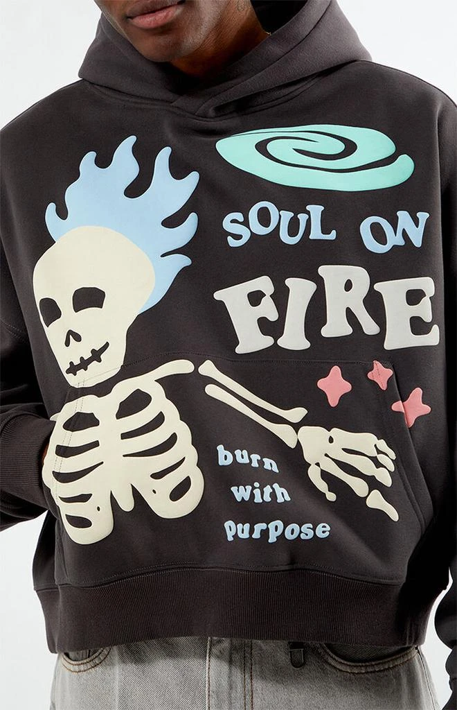 PacSun Soul On Fire Cropped Hoodie 2