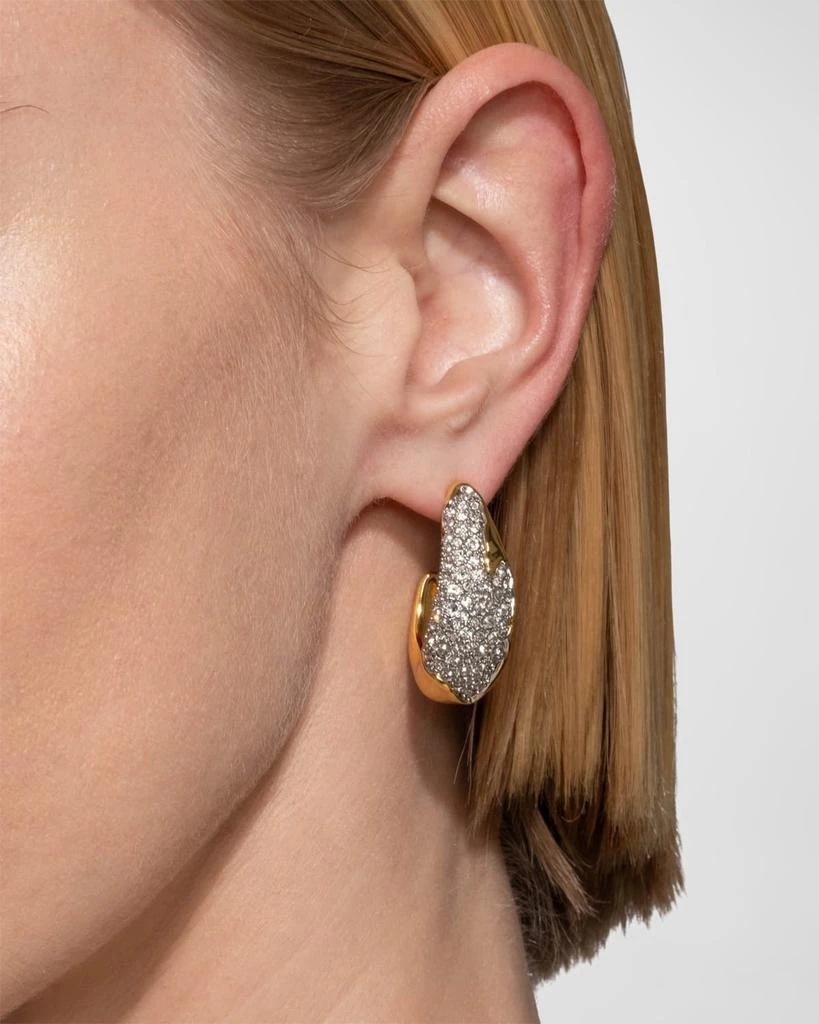 Alexis Bittar Solanales Crystal Hoop Earrings 3