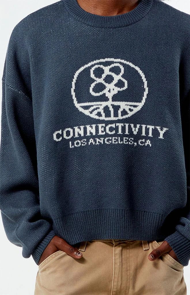 PacSun Connectivity Cropped Sweater 2