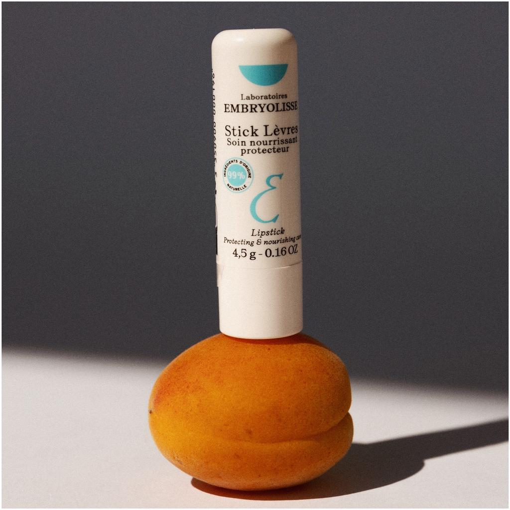 Embryolisse Embryolisse Stick Protecteur Reparateur - Lips Protection Stick