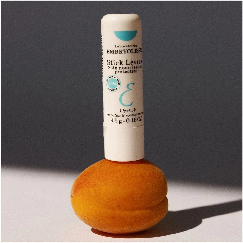 Embryolisse Embryolisse Stick Protecteur Reparateur - Lips Protection Stick 2