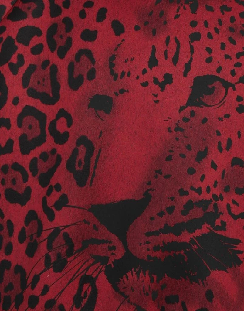 Dolce 
Gabbana Sweatshirt 4