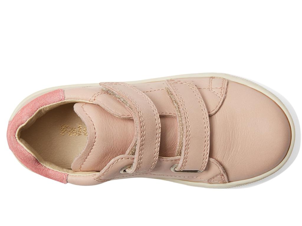 Naturino Falcotto Adam VL (Toddler)