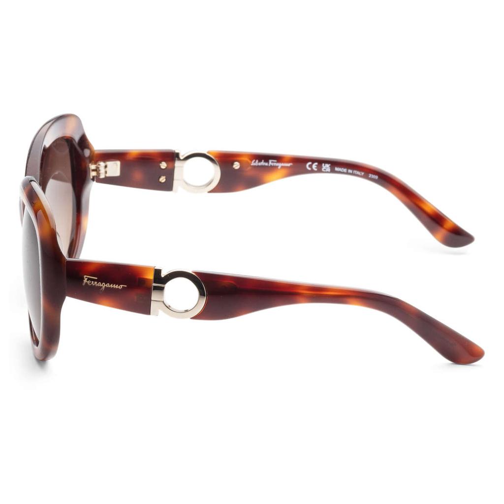 Salvatore Ferragamo Ferragamo Women's Brown Oval Sunglasses