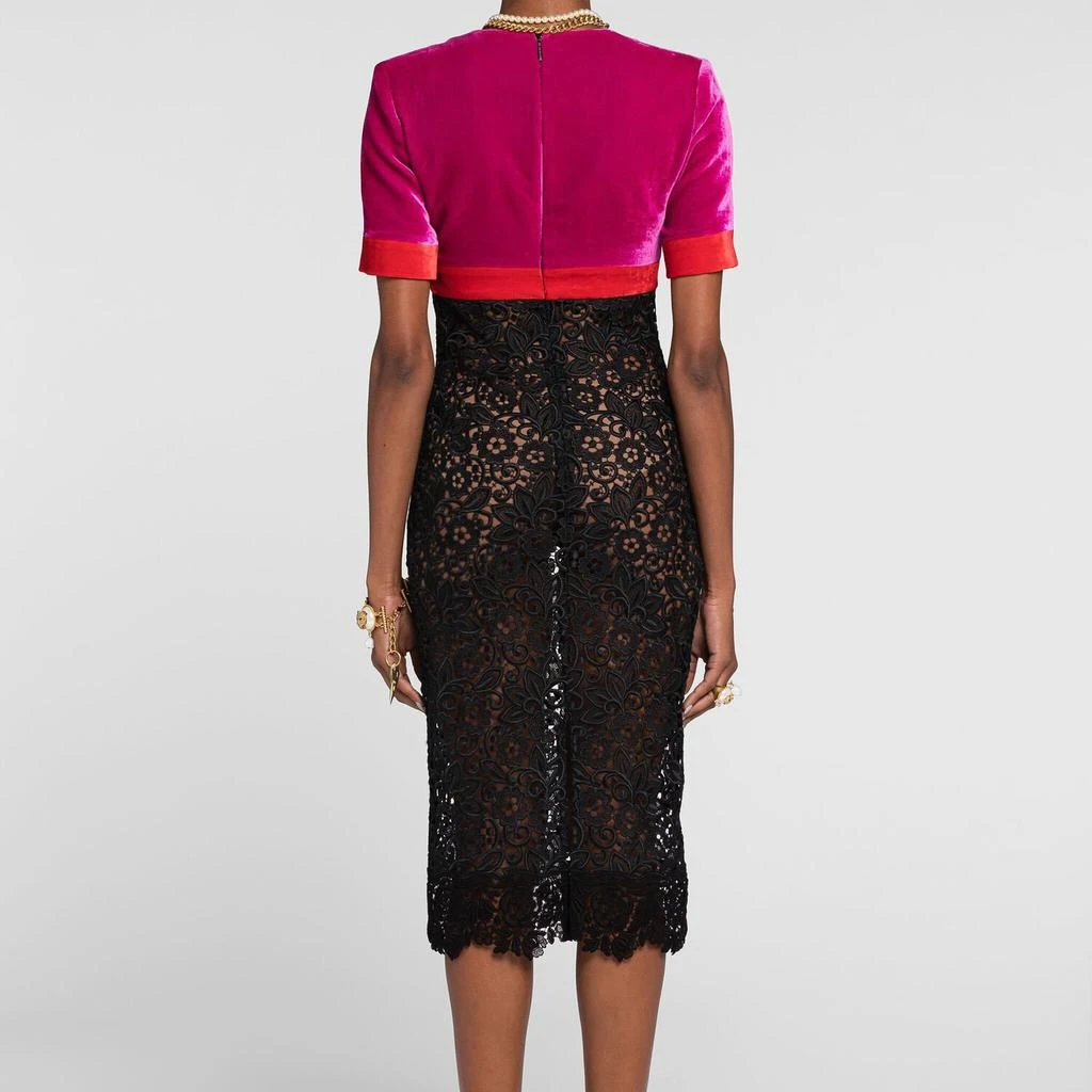 Roberto Cavalli Velvet And Lace Dress - Female Dresses Purple