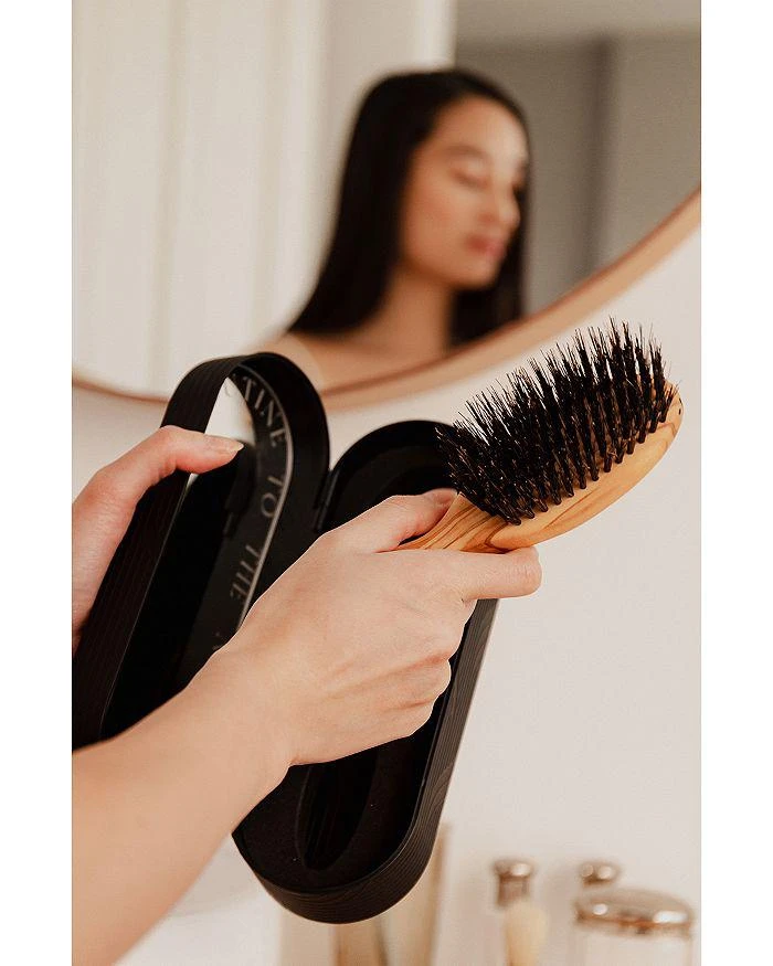 Altesse Studio Prestige Repair & Shine Brush - All Hair Types 9