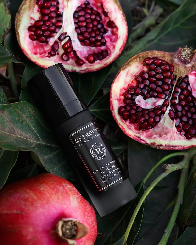 Retrouve Dynamic Nourishing Face Cream 6
