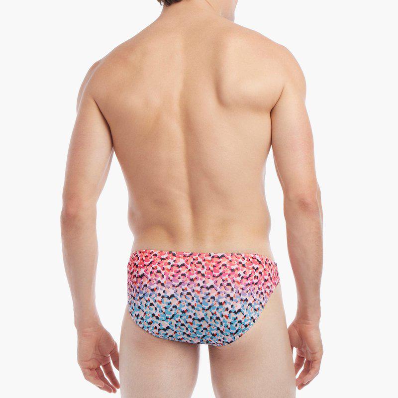 2(x)ist Sliq Hip Brief Ombre Leopard