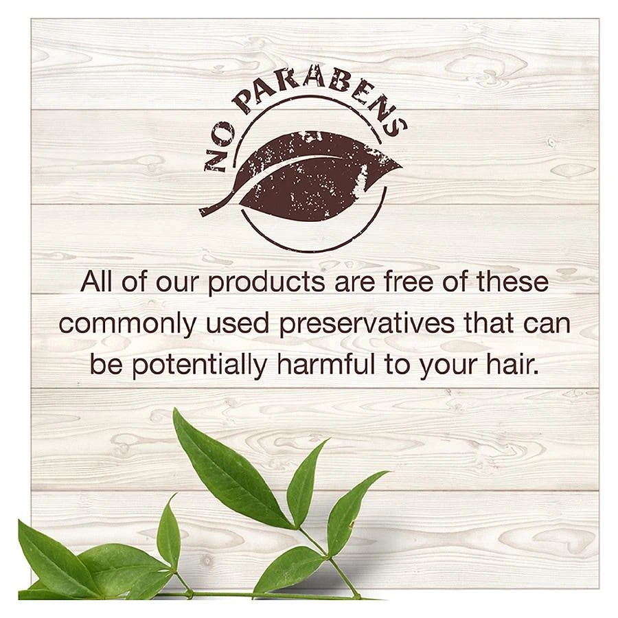 Garnier Whole Blends Shampoo with Avocado Oil & Shea Butter Extracts 4