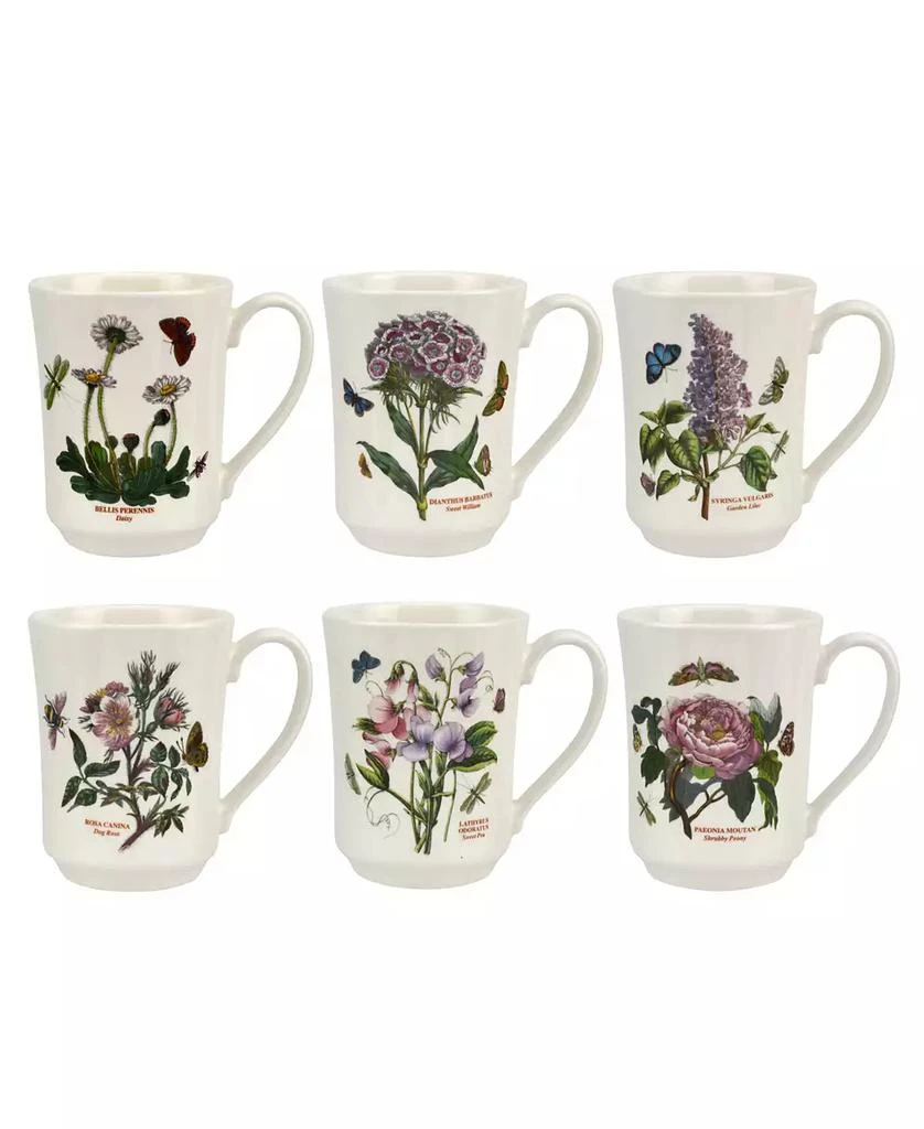 Portmeirion Botanic Garden 36 Pc. Dinnerware Set, Service for 6,  Exclusively at Macy’s 7