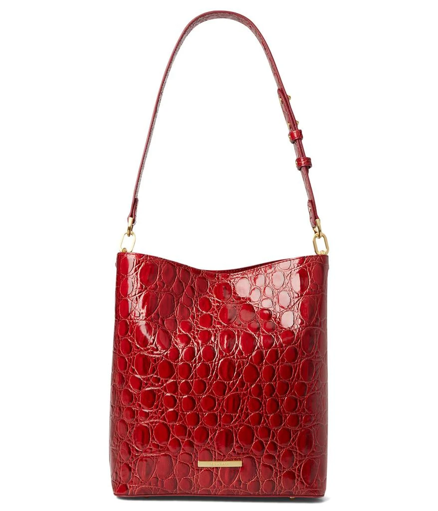 Brahmin Celina 1