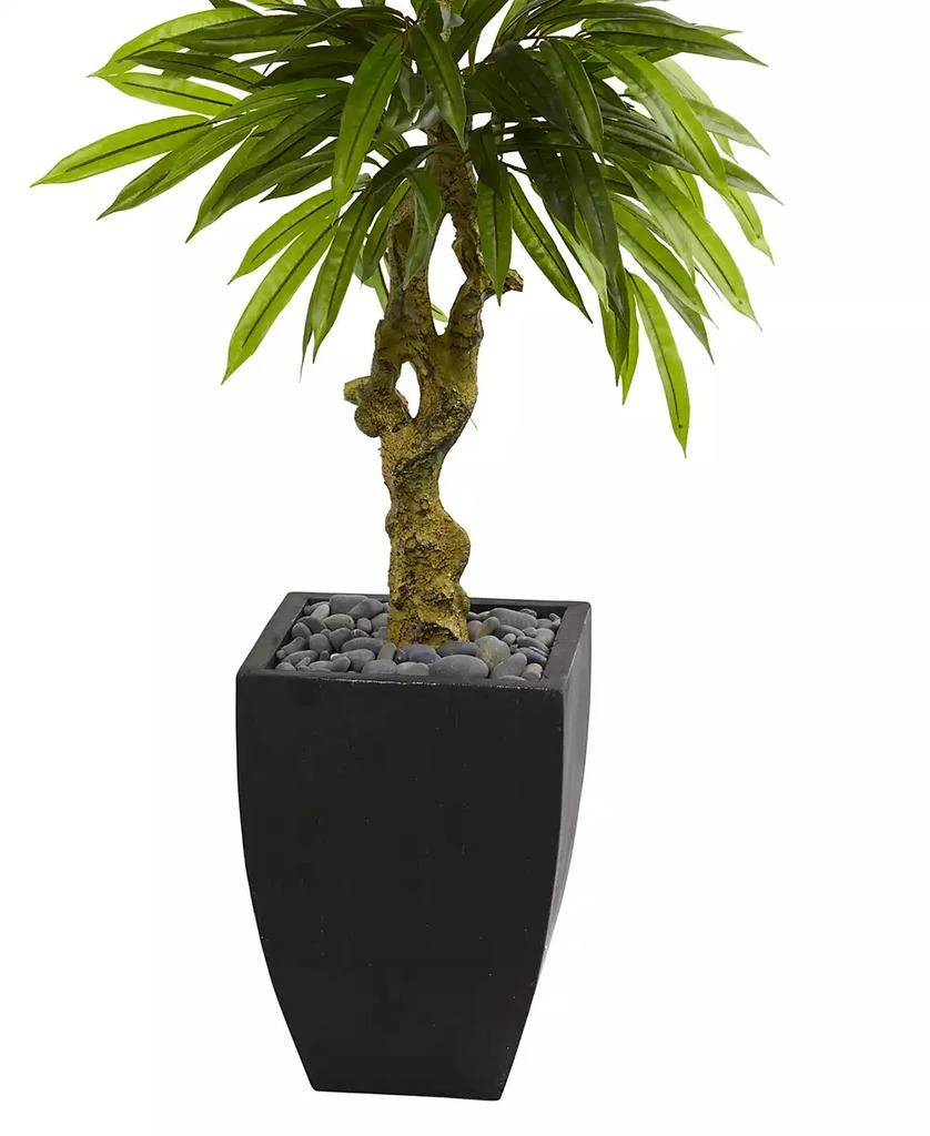 NEARLY NATURAL 5.5' Mango Artificial Tree in Black Wash Planter UV Resistant 3