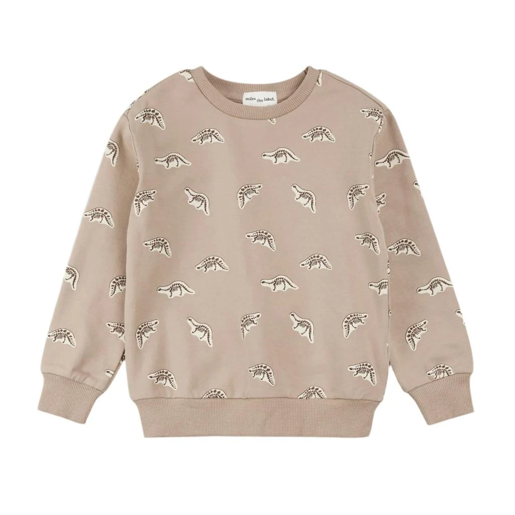 Petit Lem Petit Lem - Toddler Boy
s Dino Fossil Sweatshirt