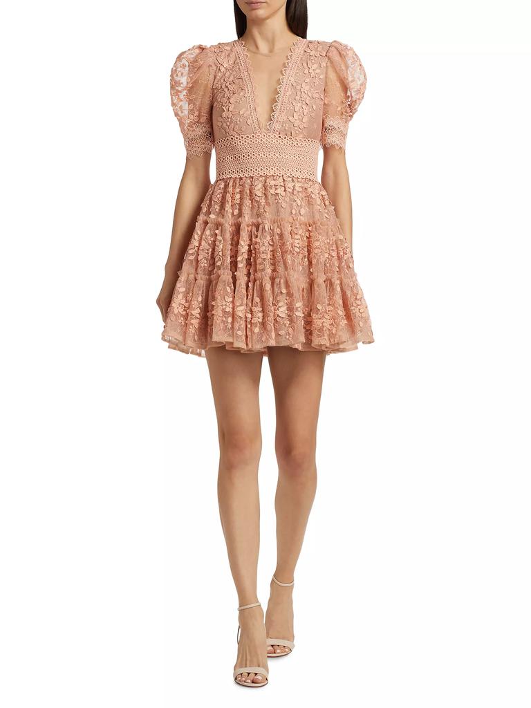 BRONX AND BANCO Megan Floral Appliqué Minidress