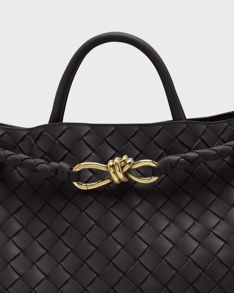 Bottega Veneta Medium Andiamo Bag 6