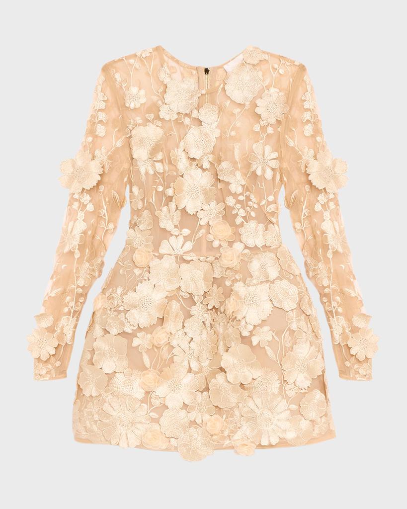 BRONX AND BANCO Bouquet Maraya Embroidered Illusion Mini Dress