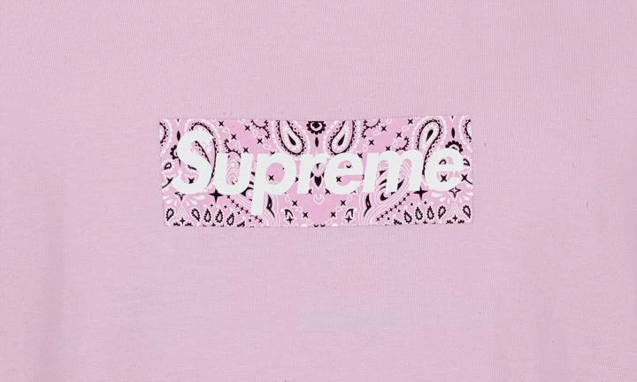 Supreme Supreme Bandana Box Logo Tee 3