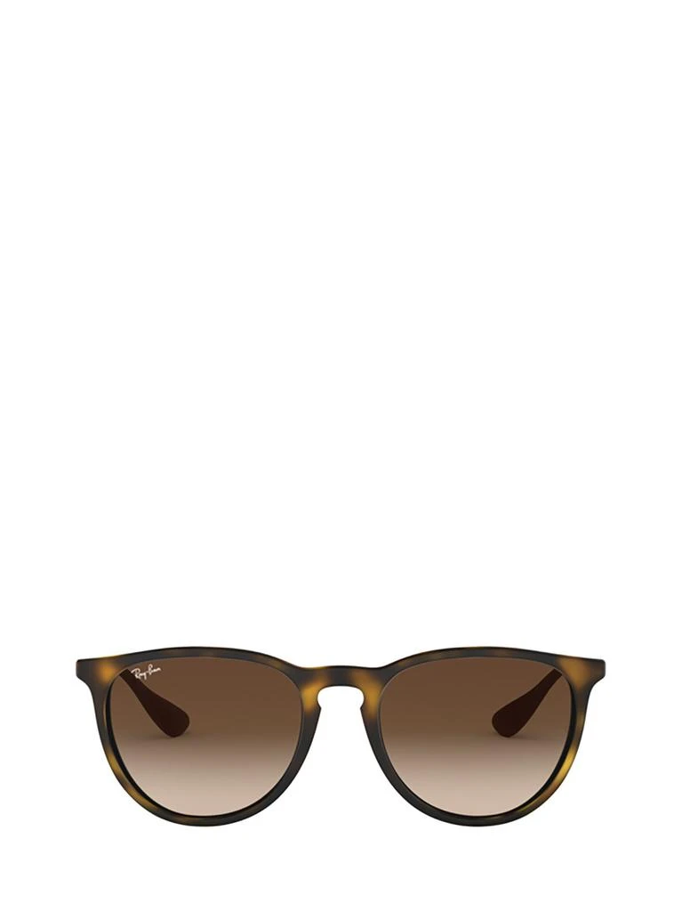 Ray-Ban Ray-Ban Erika Classic Oval Frame Sunglasses 1