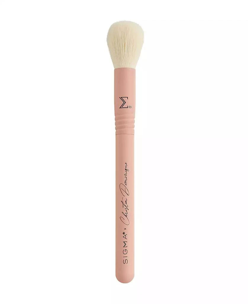 Sigma Beauty X Christen Dominique Brush Set 3