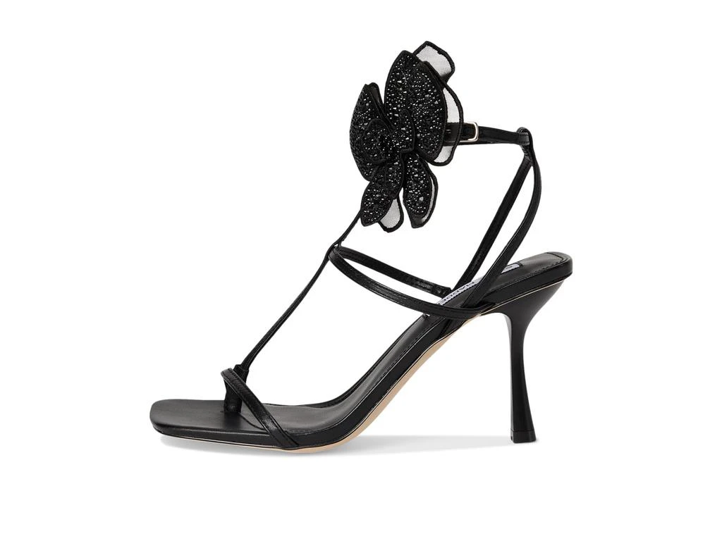 Steve Madden Aries 4