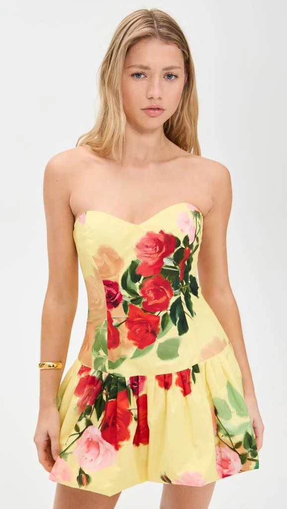 Cara Cara Elena Dress 1