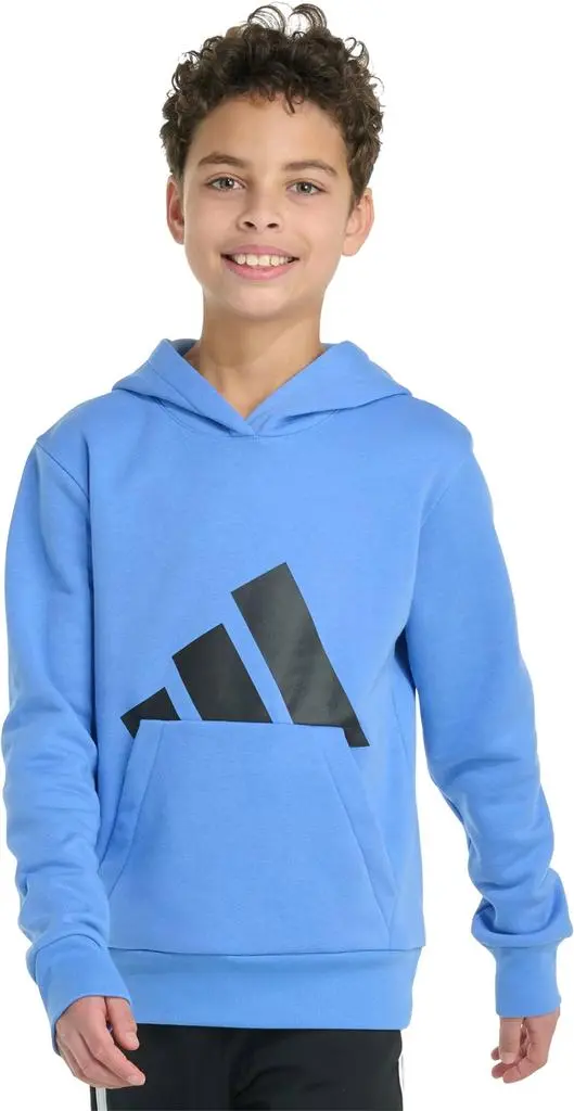 Adidas Essential Big Logo Fleece Long Sleeve Pullover Hoodie - Boys